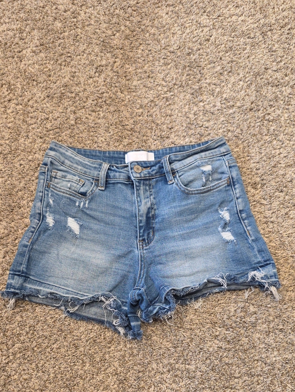Verbet Denim Frayed Hem Women's Shorts - Blue